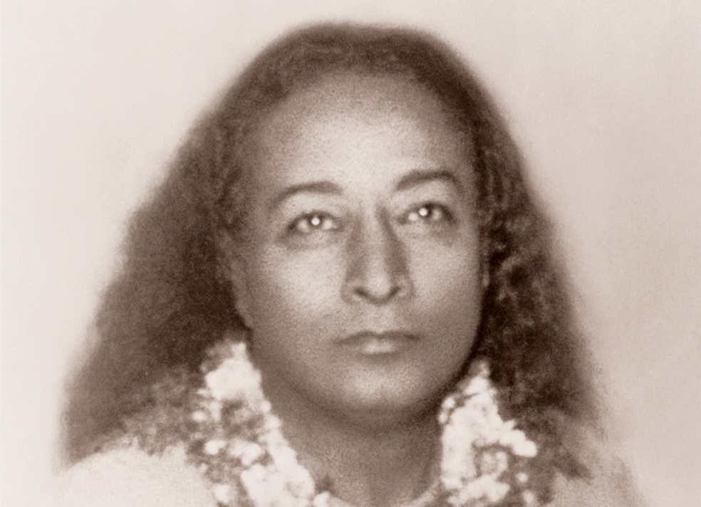 Py Lst Bday Cat Sm 4 Csep Page Banner