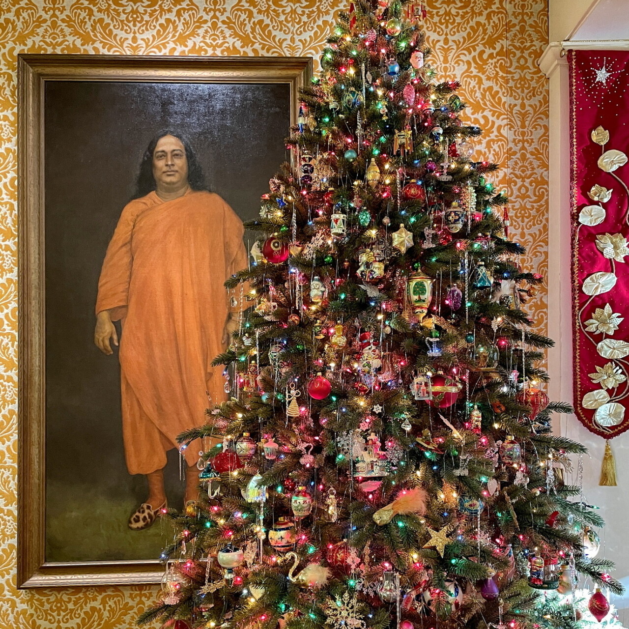 IMG 9969 MC Christmas Tree exp crop