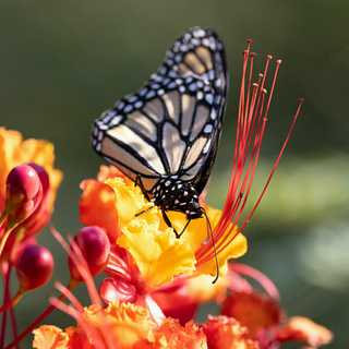 March 2025 Member Led Retreat square