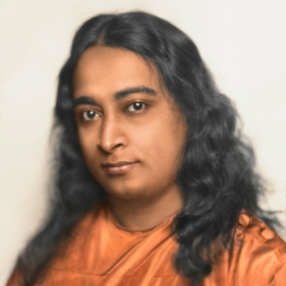 PY P 2413 Standard Pose resize 2