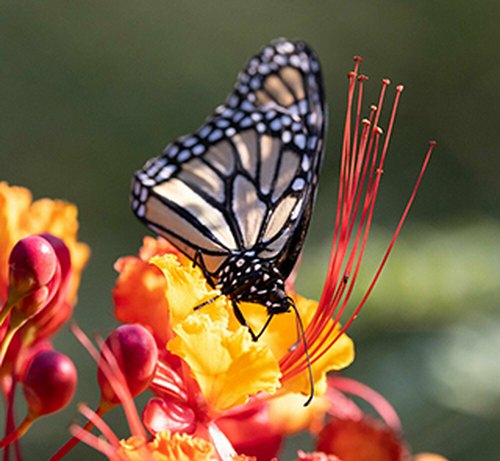 March 2025 Member Led Retreat square SB